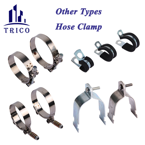 New Launching Stainless Steel and CarbonSteel Hose Clamp