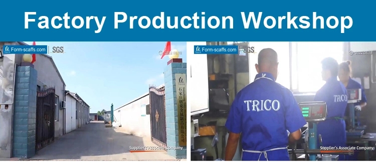 4- Hebei Trico Formwork & Scaffolding.jpg