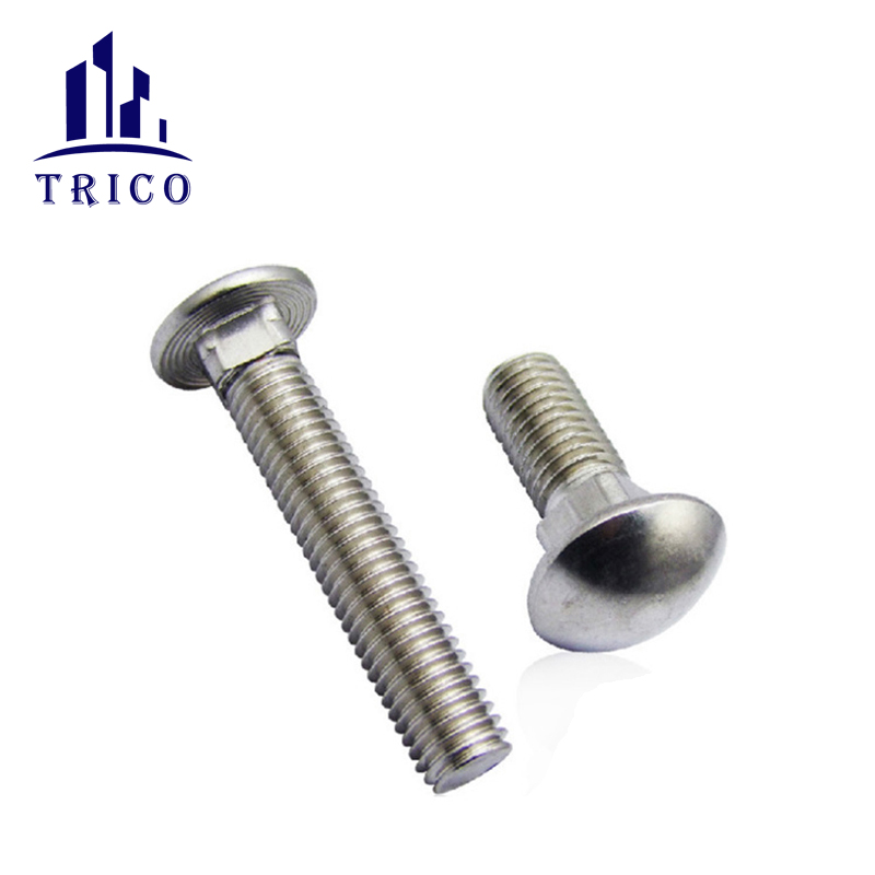 Stainless Steel Carriage Bolt