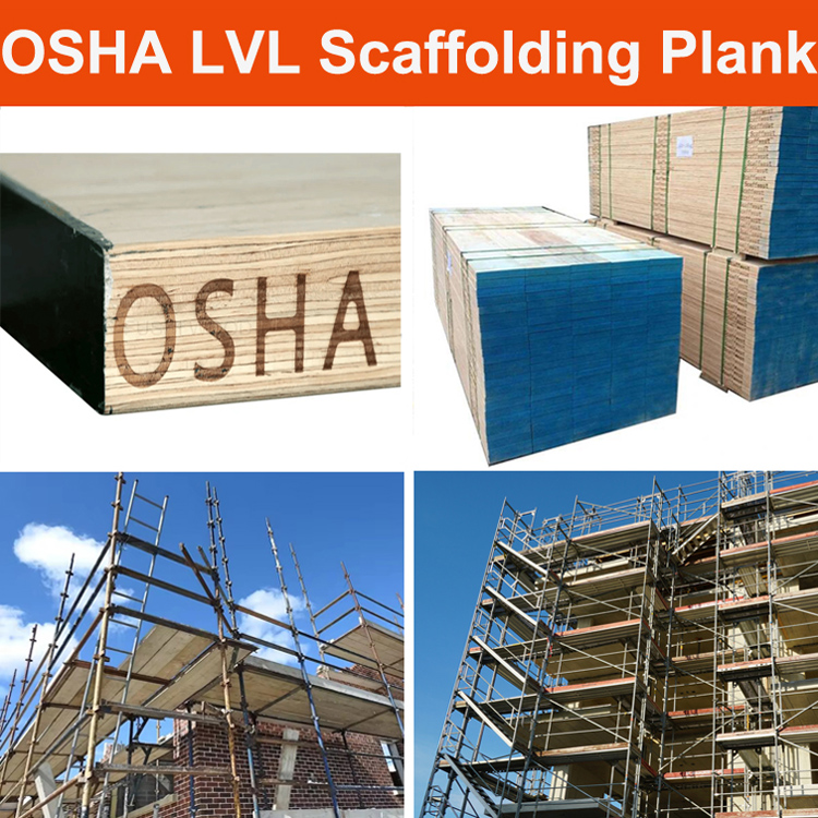 Laminated Veneer Lumber (LVL) OSHA Scaffolding Plank For Construction